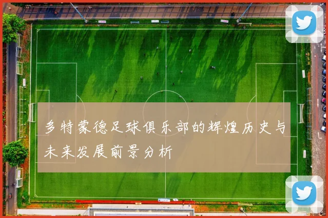 多特蒙德足球俱乐部的辉煌历史与未来发展前景分析