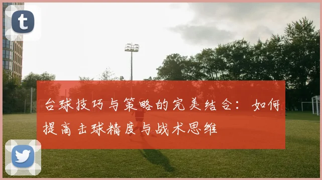 台球技巧与策略的完美结合：如何提高击球精度与战术思维